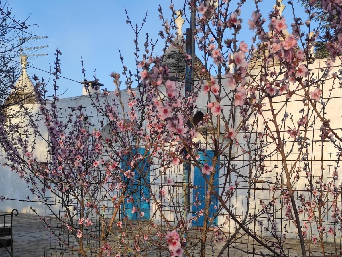 마르티나프란카 Trullo Francisco 게스트하우스 외부 사진